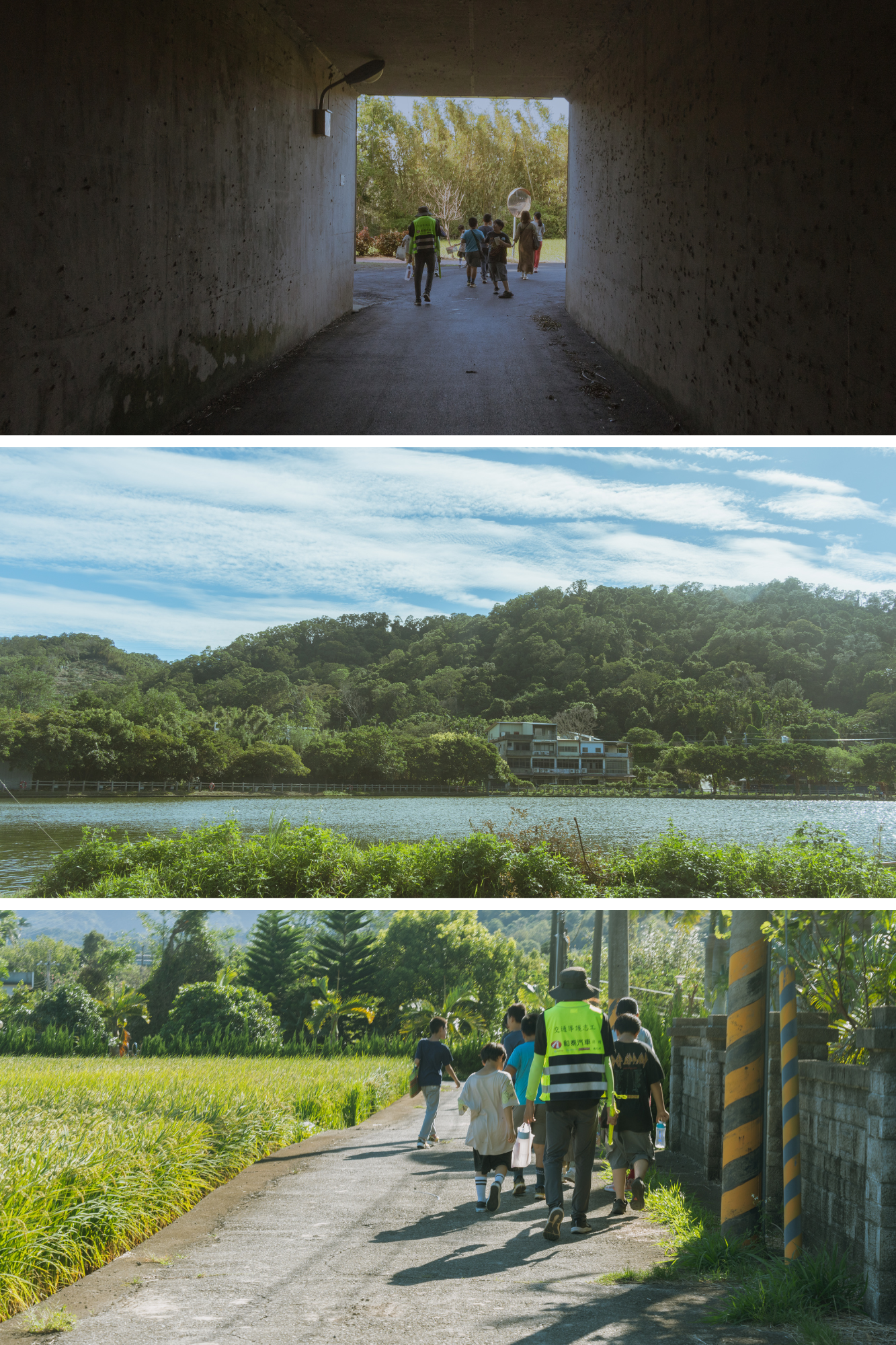 美感教育、偏鄉教學、森林小學、關西