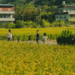 偏鄉教育 美感教育