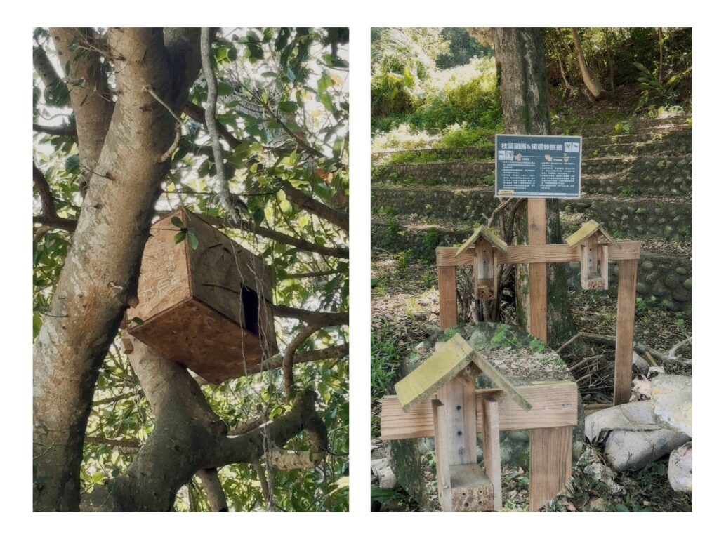 美感工作坊 美感培養 美感教育
自然教育  森林小學