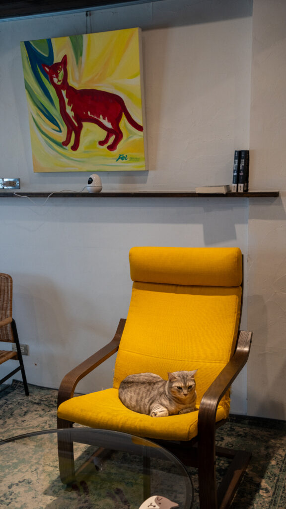 招財咖啡、新竹咖啡廳、貓咪主題咖啡廳、水豚咖啡廳、卡皮巴拉、新竹下午茶、新竹餐廳推薦、水豚互動、老宅咖啡、老屋咖啡、貓咪繪畫、貓咪插畫、新竹推薦咖啡廳