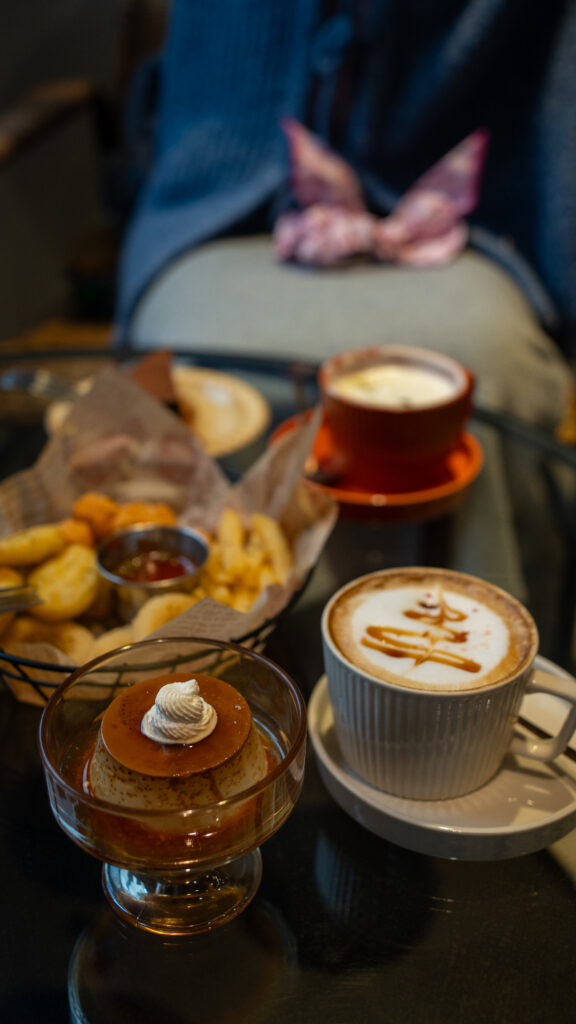 招財咖啡、新竹咖啡廳、貓咪主題咖啡廳、水豚咖啡廳、卡皮巴拉、新竹下午茶、新竹餐廳推薦、水豚互動、老宅咖啡、老屋咖啡、拿鐵、焦糖瑪奇朵、布丁、炸物、薯條、雞塊、洋蔥圈、新竹推薦咖啡廳