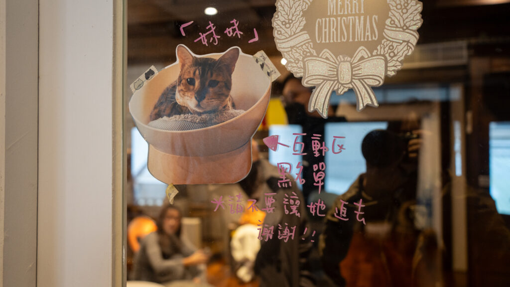 招財咖啡、新竹咖啡廳、貓咪主題咖啡廳、水豚咖啡廳、卡皮巴拉、新竹下午茶、新竹餐廳推薦、水豚互動、老宅咖啡、老屋咖啡、貓咪繪畫、貓咪插畫、新竹推薦咖啡廳