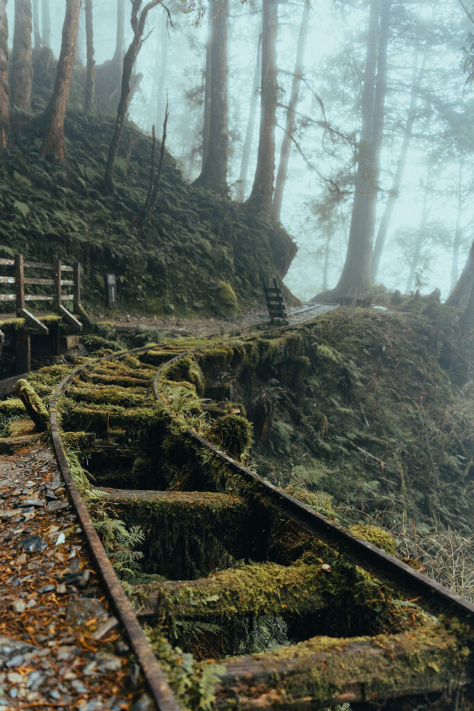 逃離現實走進遊戲畫面中的遺落之境—太平山國家森林遊樂區 太平山,宜蘭太平山,太平山住宿,太平山遊樂區,太平山森林遊樂區,太平山天氣,太平山蹦蹦車,森林鐵道,森林步道,健走步道,登山步道,見晴懷古步道