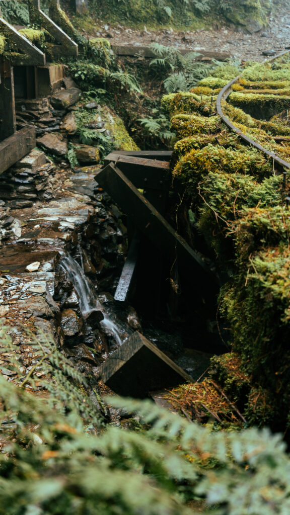逃離現實走進遊戲畫面中的遺落之境—太平山國家森林遊樂區 太平山,宜蘭太平山,太平山住宿,太平山遊樂區,太平山森林遊樂區,太平山天氣,太平山蹦蹦車,森林鐵道,森林步道,健走步道,登山步道,見晴懷古步道