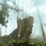 太平山國家森林遊樂區 ,見晴古道,太平山莊,太平山蹦蹦車,太平山天氣,登山步道