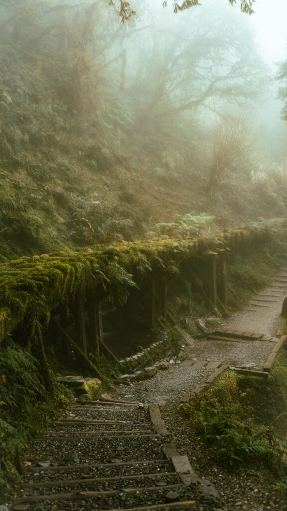 逃離現實走進遊戲畫面中的遺落之境—太平山國家森林遊樂區 太平山,宜蘭太平山,太平山住宿,太平山遊樂區,太平山森林遊樂區,太平山天氣,太平山蹦蹦車,森林鐵道,森林步道,健走步道,登山步道,見晴懷古步道