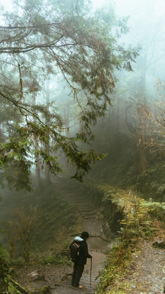 逃離現實走進遊戲畫面中的遺落之境—太平山國家森林遊樂區 太平山,宜蘭太平山,太平山住宿,太平山遊樂區,太平山森林遊樂區,太平山天氣,太平山蹦蹦車,森林鐵道,森林步道,健走步道,登山步道,見晴懷古步道