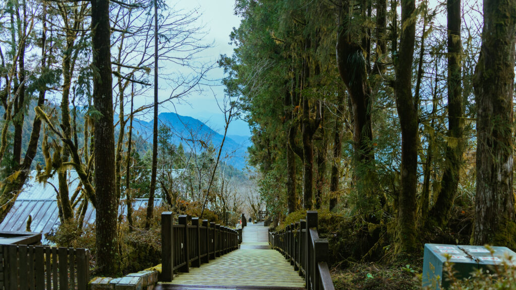 逃離現實走進遊戲畫面中的遺落之境—太平山國家森林遊樂區 太平山,宜蘭太平山,太平山住宿,太平山遊樂區,太平山森林遊樂區,太平山天氣,太平山蹦蹦車,森林鐵道,森林步道,健走步道,登山步道,鐵道,肖楠館