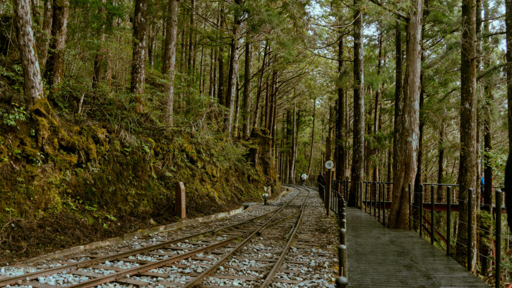 逃離現實走進遊戲畫面中的遺落之境—太平山國家森林遊樂區 太平山,宜蘭太平山,太平山住宿,太平山遊樂區,太平山森林遊樂區,太平山天氣,太平山蹦蹦車,森林鐵道,森林步道,健走步道,登山步道,鐵道,肖楠館,背包客,雲海咖啡廳,太平山餐廳