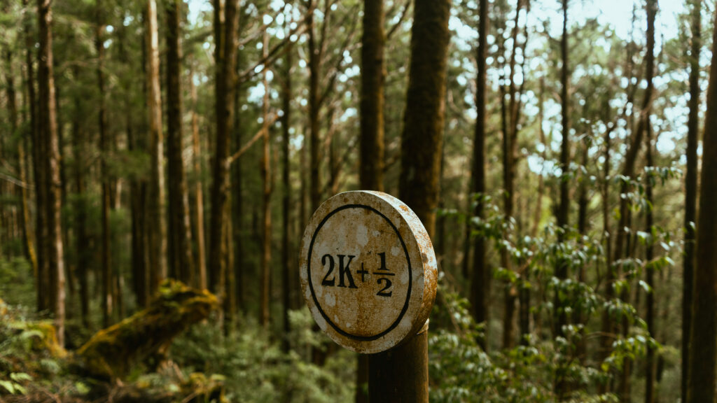 逃離現實走進遊戲畫面中的遺落之境—太平山國家森林遊樂區 太平山,宜蘭太平山,太平山住宿,太平山遊樂區,太平山森林遊樂區,太平山天氣,太平山蹦蹦車,森林鐵道,森林步道,健走步道,登山步道,鐵道,肖楠館,背包客,雲海咖啡廳,太平山餐廳