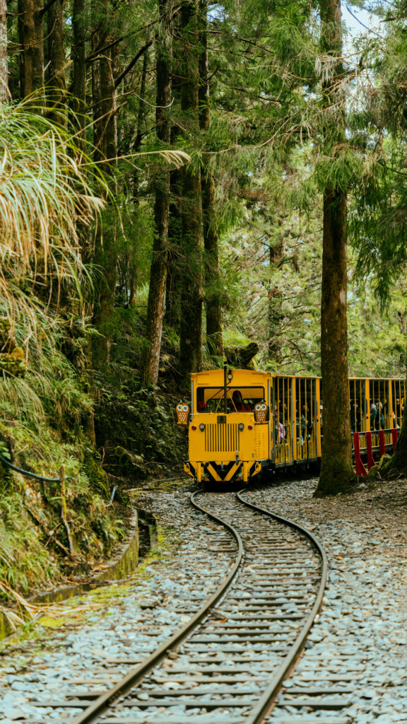 逃離現實走進遊戲畫面中的遺落之境—太平山國家森林遊樂區 dsc03687
