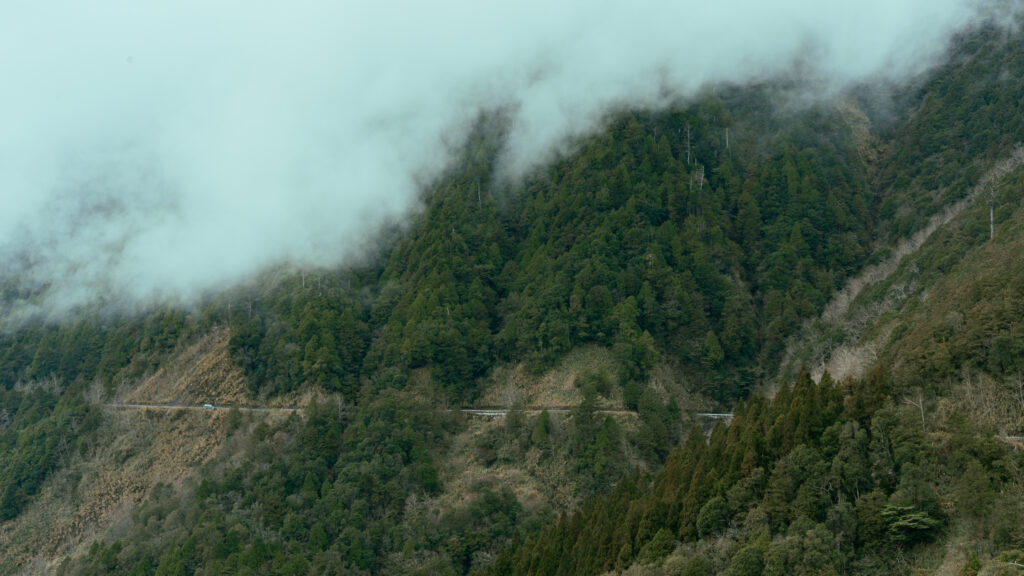 逃離現實走進遊戲畫面中的遺落之境—太平山國家森林遊樂區 dsc03697