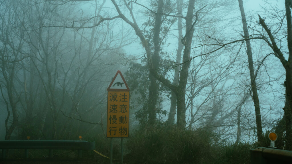 逃離現實走進遊戲畫面中的遺落之境—太平山國家森林遊樂區 太平山,宜蘭太平山,太平山住宿,太平山遊樂區,太平山森林遊樂區,太平山天氣,太平山蹦蹦車,森林鐵道,森林步道,健走步道,登山步道,鐵道,肖楠館,背包客,雲海咖啡廳,太平山餐廳,黃喉貂,保育動物